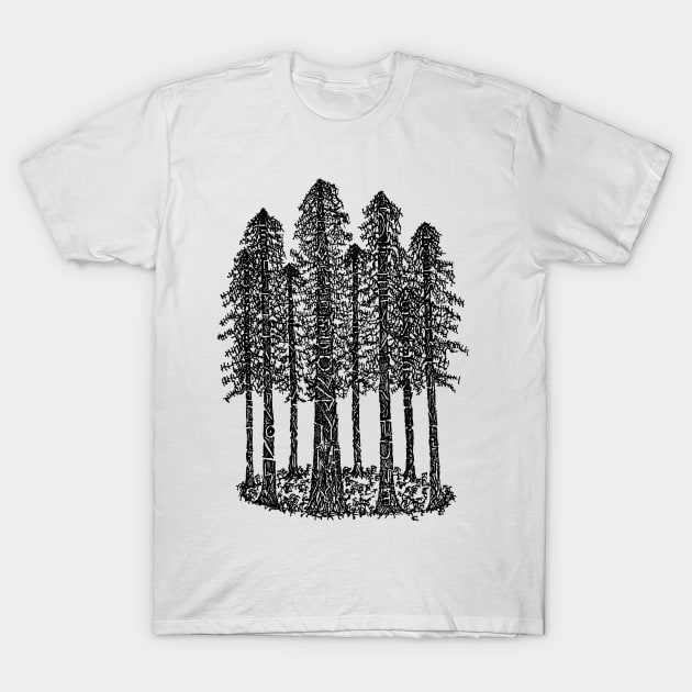 Cathedral Ring Sketch (Coastal Redwoods) T-Shirt by Hinterlund